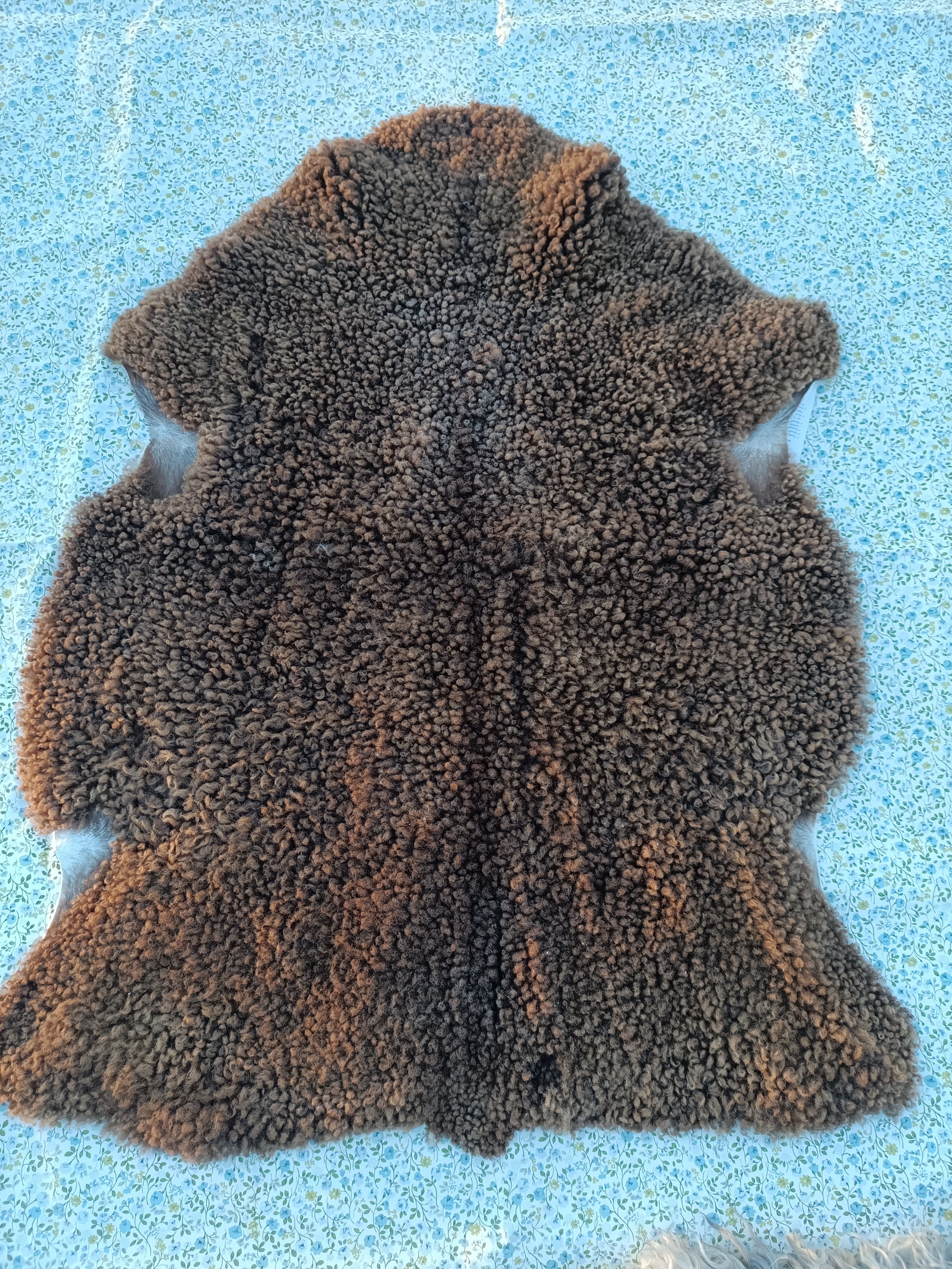 Ruskea lyhyt villa (Vesipestävä talja)